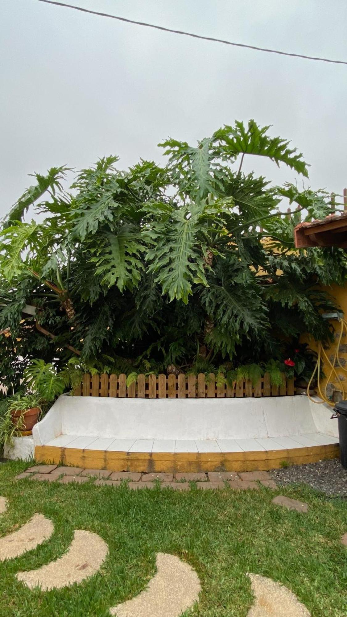 Casa Rural La Ganania Лос Реалехос Екстериор снимка